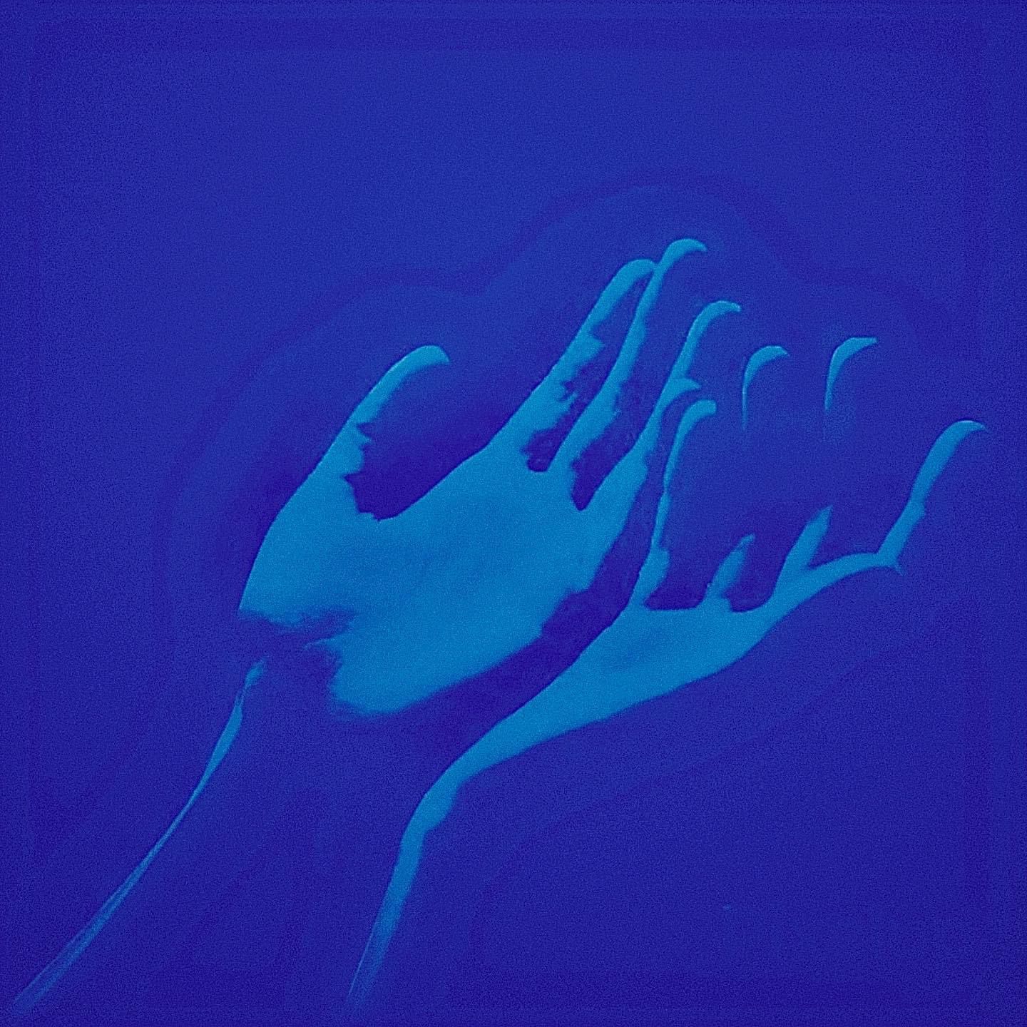 El quinteto Colombiano Armenia, nos presenta su más reciente sencillo «Te Sigo Buscando»