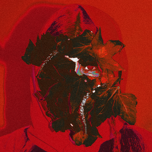 Herbolaria: La raíz y el corazón del electro pop emergente