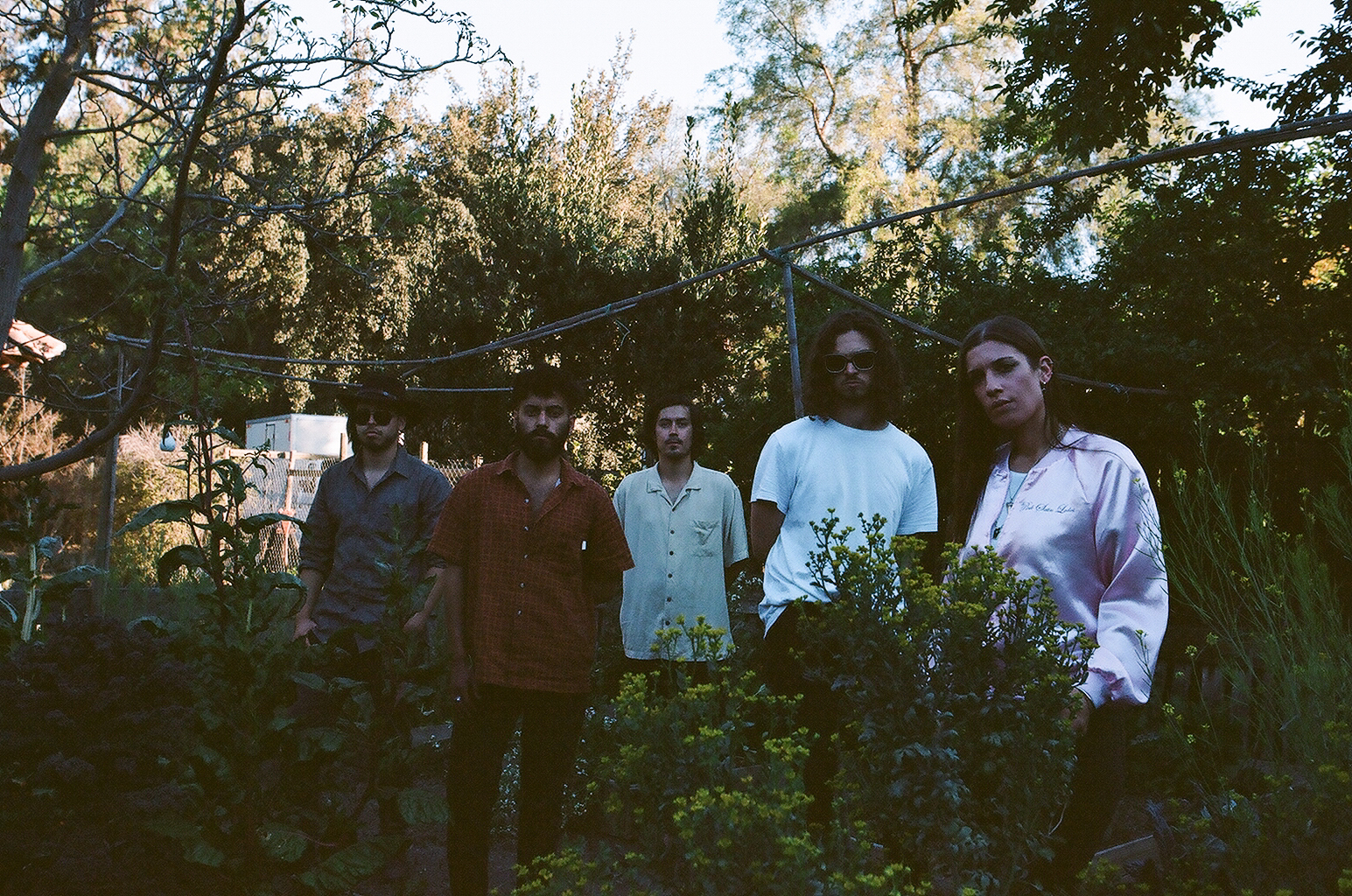 Flores Silvestres adelantan su segundo disco con el single «Días como hoy»