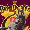 Lindy Hop Bogotá celebrará diez años con el festival de swing Bogocats 2026